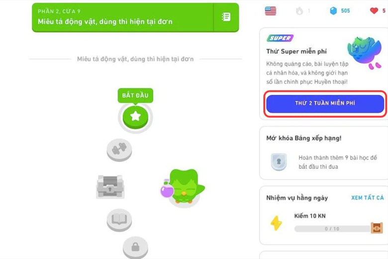 Super Duolingo là gì?