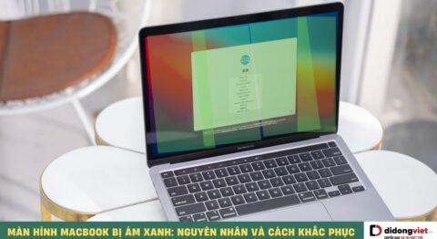 Màn hình MacBook bị ám xanh