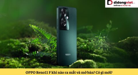 oppo reno11 f khi nào ra mắt