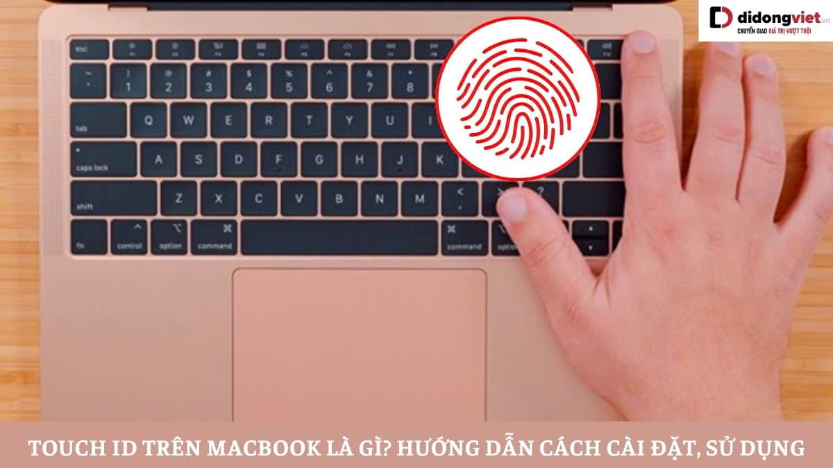 Touch ID trên MacBook là gì? Hướng dẫn cách cài đặt và sử dụng Touch ID trên MacBook