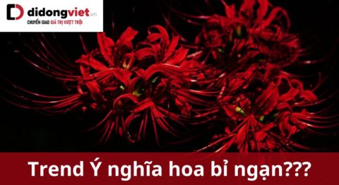 Ý nghĩa hoa bỉ ngạn