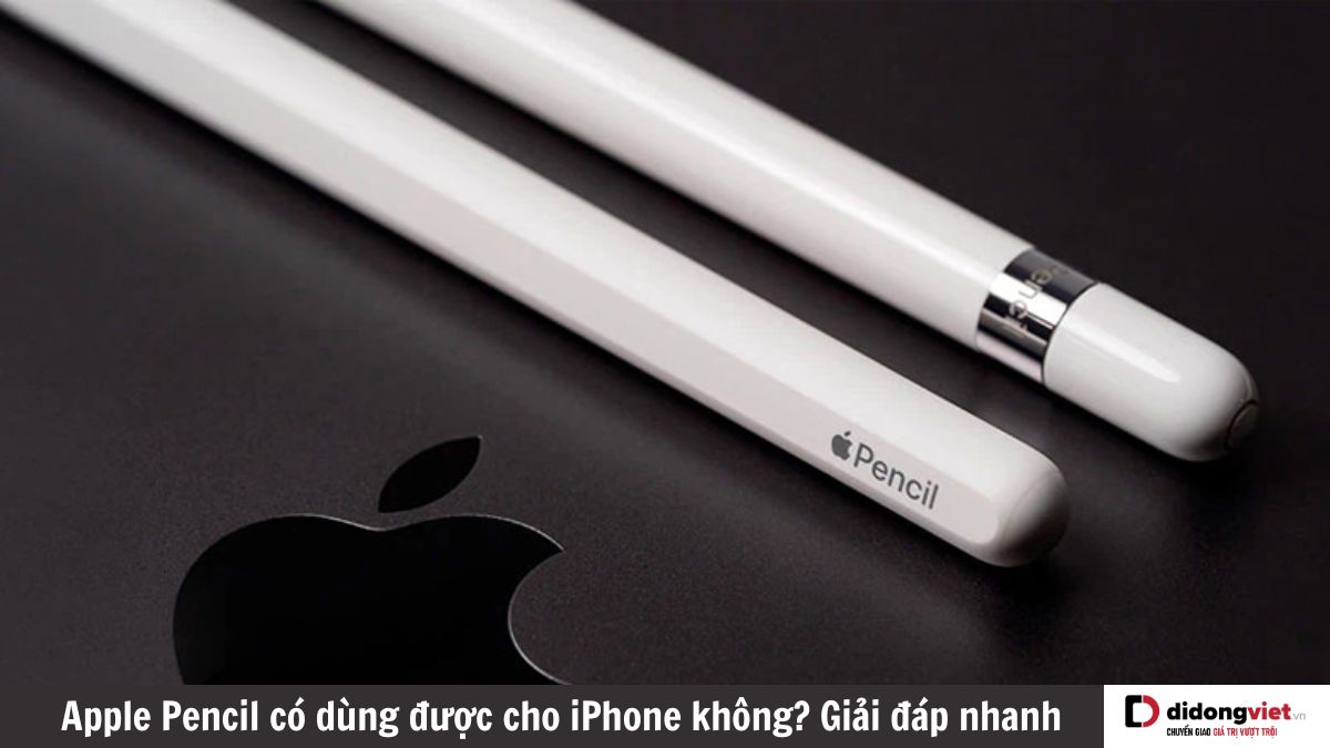 Apple Pencil có dùng được cho iPhone không? Cùng Di Động Việt tìm hiểu ngay