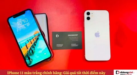 iPhone 11 màu trắng