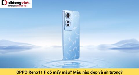 oppo reno11 f có mấy màu