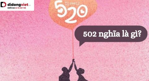 502 nghĩa là gì