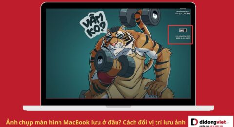 Ảnh chụp màn hình MacBook lưu ở đâu