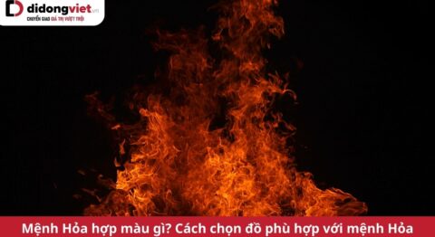 mệnh hỏa hợp màu gì