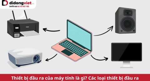 thiết bị đầu ra của máy tính là gì