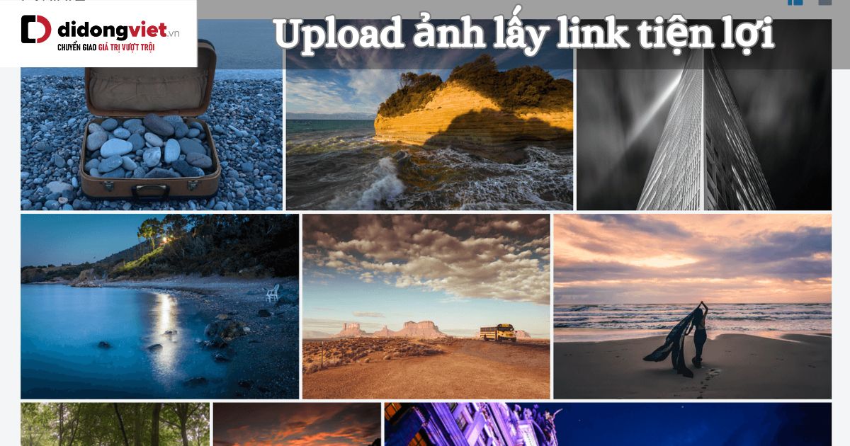 9 Cách upload ảnh lấy link cực tiện lợi mà bạn nên biết