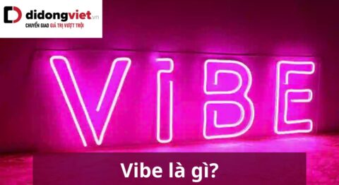 vibe là gì