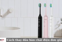 Cách thay đầu bàn chải điện đơn giản nhanh nhất tại nhà Cách thay đầu bàn chải điện