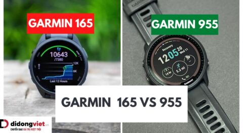Garmin 165 vs 955