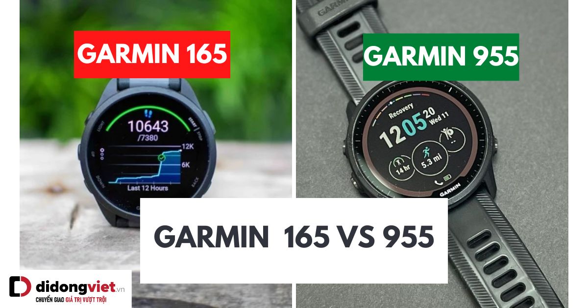So sánh Garmin Forerunner 165 và 955: Nên mua đồng hồ nào?