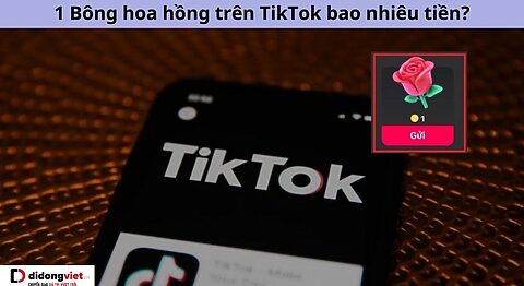 1 bông hồng TikTok bao nhiêu tiền