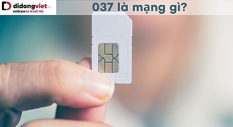 037 là mạng gì? Ý nghĩa theo phong thủy? Cách đặt mua Online và trực tiếp 037 là mạng gì