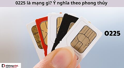0225 là mạng gì