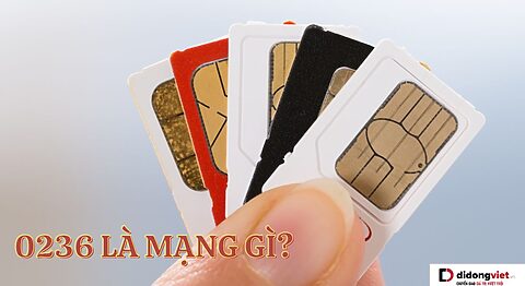 0236 là mạng gì? Ở đâu? Có lừa đảo không? Ý nghĩa theo phong thủy 0236 là mạng gì