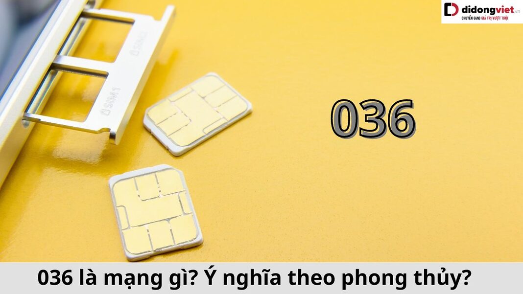 036 là mạng gì