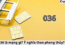 036 là mạng gì