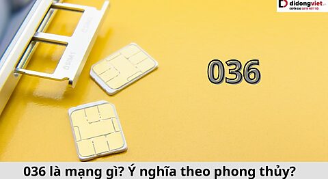 036 là mạng gì? Ý nghĩa theo phong thủy? Cách đặt mua online và trực tiếp 036 là mạng gì