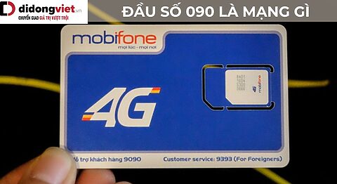090 là mạng gì