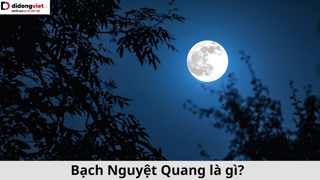 Bạch nguyệt quang là gì