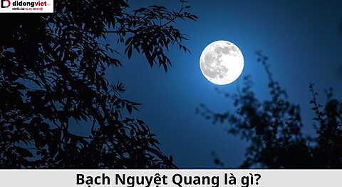 Bạch Nguyệt Quang là gì? Tại sao lại được giới trẻ dùng nhiều như vậy? Bạch nguyệt quang là gì
