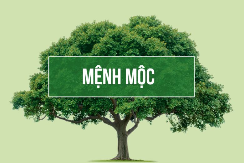 mệnh Mộc hợp màu gì 
