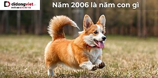 Năm 2006 là năm con gì