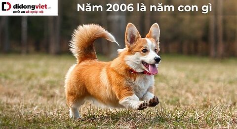 Năm 2006 là năm con gì, mệnh gì? Hợp với những tuổi nào khác? Năm 2006 là năm con gì