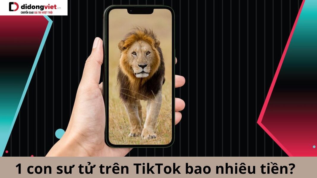 1 con sư tử trên TikTok bao nhiêu tiền