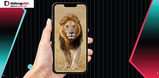 1 con sư tử trên TikTok bao nhiêu tiền