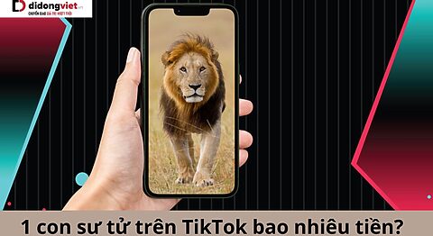 1 con sư tử trên TikTok bao nhiêu tiền