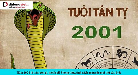 Năm 2001 là năm con gì, mệnh gì? Phong thủy, tính cách, màu sắc mọi thứ cần biết