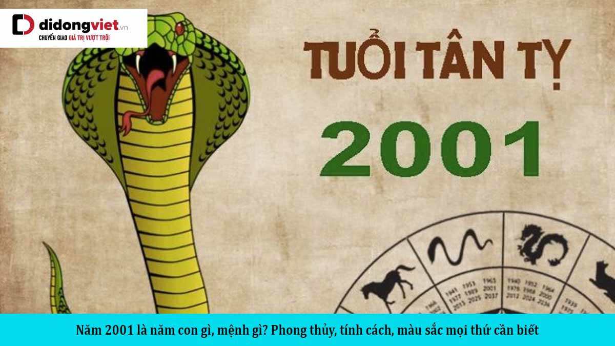 2001 Tuổi Con Gì? Khám Phá Bí Ẩn Về Người Sinh Năm Tân Tỵ