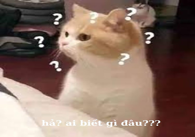 ha gi ai biet dau meme 4 didongivet 3