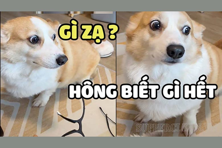 Hả gì ai biết đâu