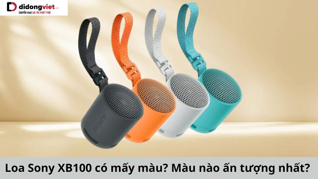 loa Sony XB100 có mấy màu