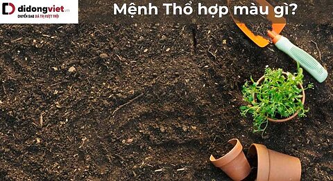 Mệnh Thổ hợp màu gì? Cách chọn đồ phù hợp với người mệnh Thổ Mệnh Thổ hợp màu gì