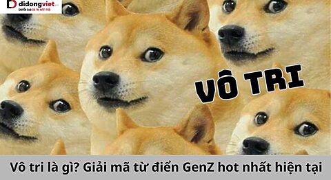 Vô tri là gì? Giải mã từ điển GenZ hot nhất hiện tại Vô tri là gì