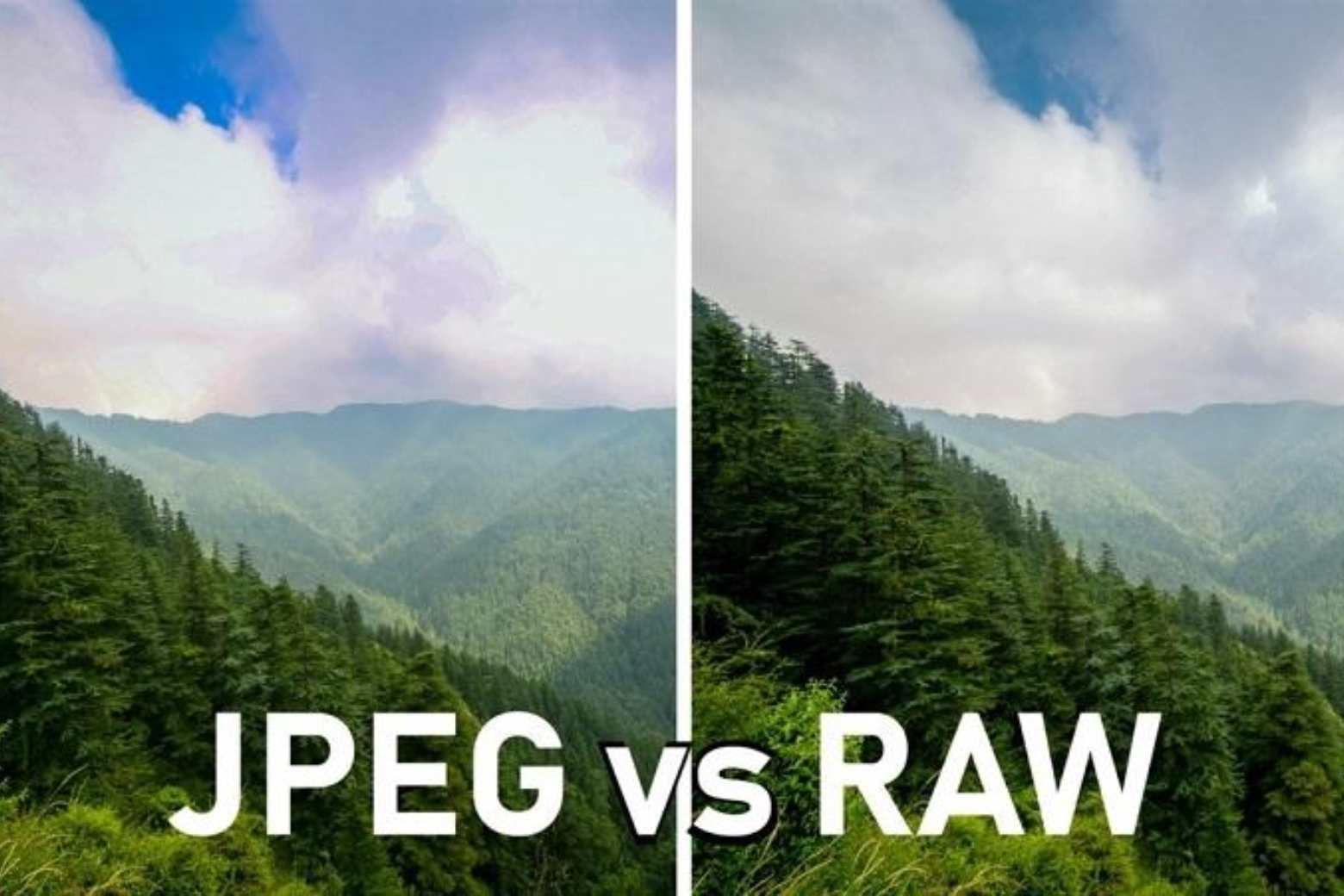 Ảnh raw là gì khi nào nên chụp raw