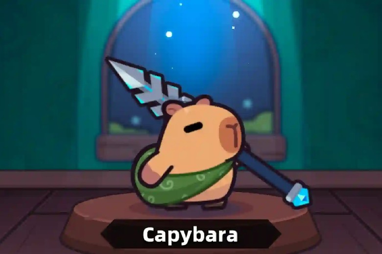 code capybara go 7