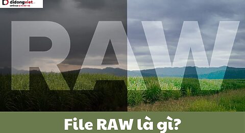 File RAW là gì? Tìm hiểu về định dạng ảnh chất lượng cao và cách chuyển đổi file raw