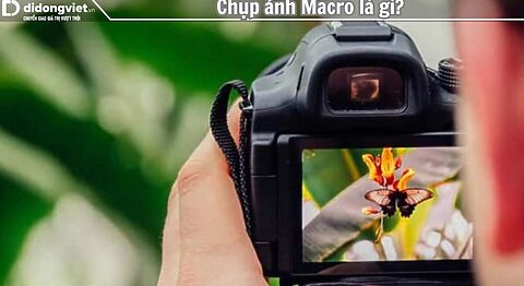 Chụp ảnh Macro là gì? Hướng dẫn chụp Macro xịn sò không nên bỏ qua
