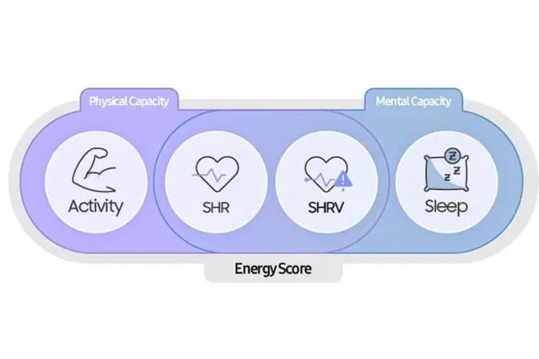 energy score tren smartwatch la gi