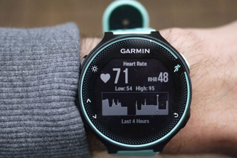 garmin elevate