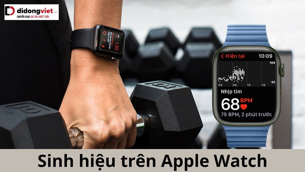 Sinh hiệu trên Apple Watch