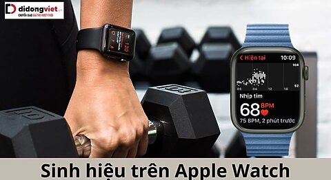 Sinh hiệu trên Apple Watch là gì? Cách sử dụng và lợi ích của sinh hiệu Sinh hiệu trên Apple Watch