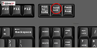 cách tắt Scroll Lock trên bàn phím