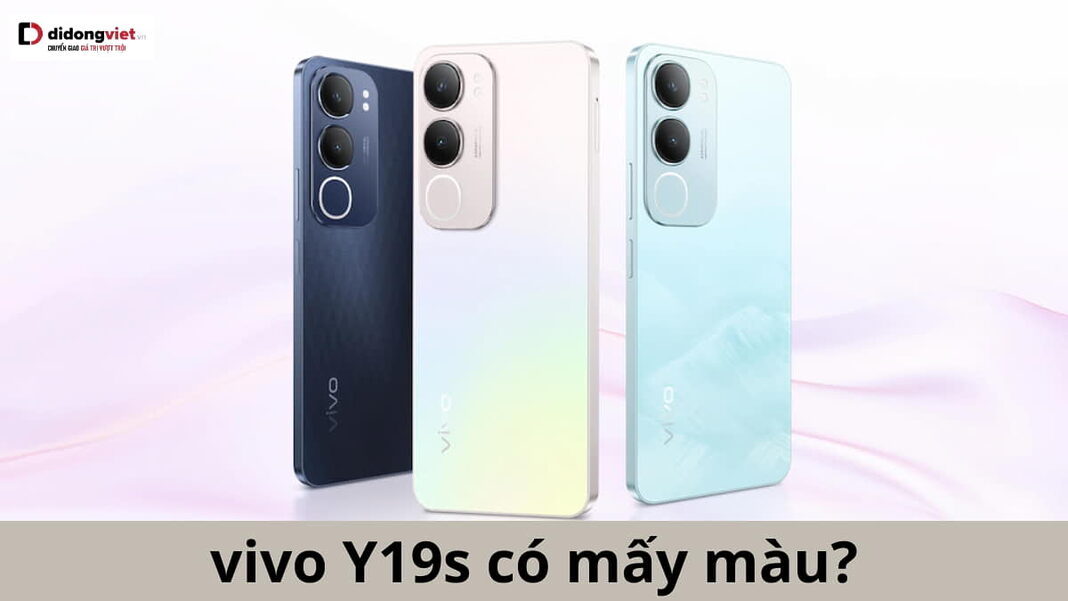 vivo Y19s có mấy màu